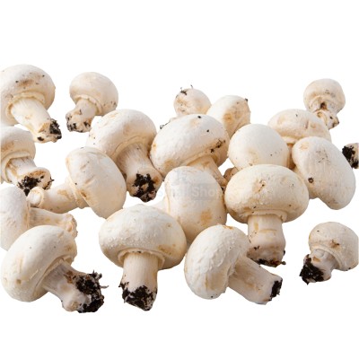 Шампиньоны свежие 500 г - купить в Екатериновке